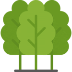 Für jeden Kunden wird ein neuer Baum gepflanzt.